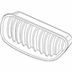 BMW 51138050525 Grille, Front, Left