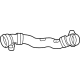 BMW 17128096427 HOSE, COOLANT RADIATOR - THE