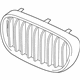 BMW 51138063173 Grille, Front, Left