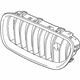 BMW 51137373688 Ornamental Grille, Basic, Left