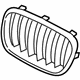 BMW 51117237421 Grille, Front, Left