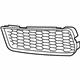 BMW 51118050505 Grille, Air Inlet, Left